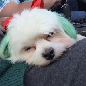 Meet your Posher, Shawna